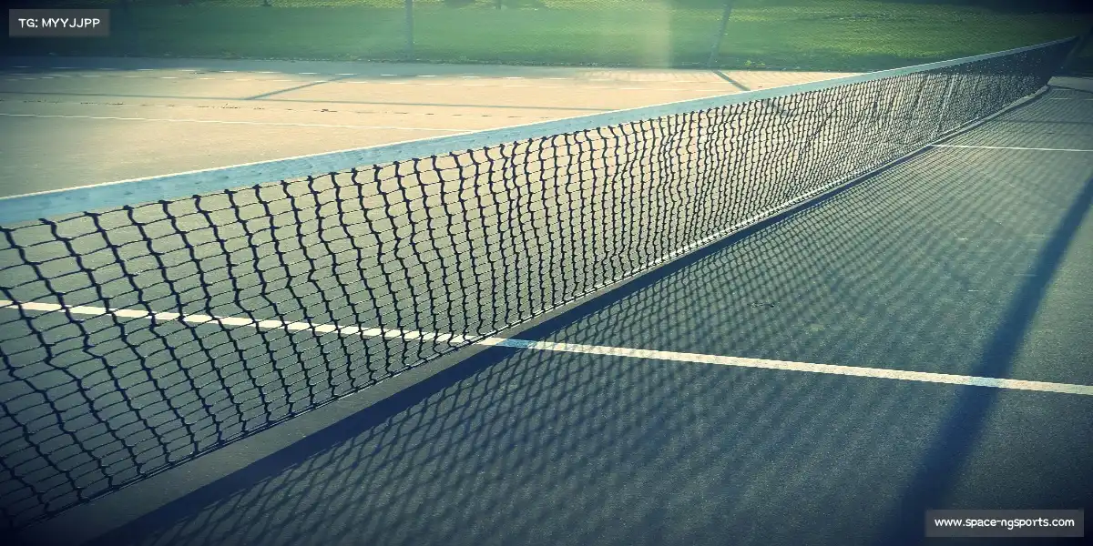 ng体育网页版——跑鞋亲吻大地,梦想触摸云端。✨ 🌠